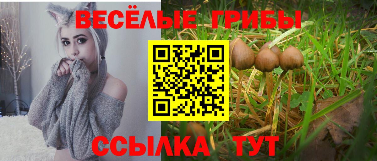 где купить наркоту  Галлюциногенные грибы GOLDEN TEACHER  Вход с VPN  Галлюциногенные грибы Psilocybe  Воскресенск 