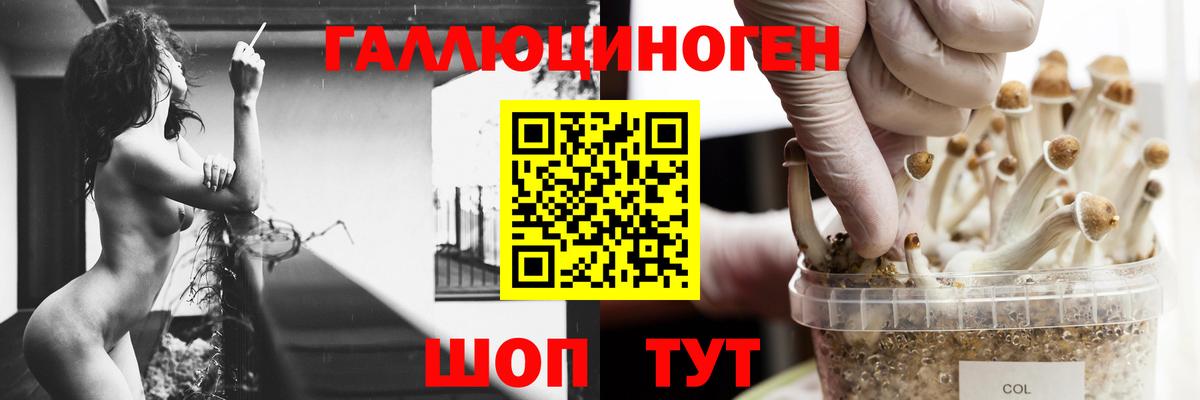 Псилоцибиновые грибы прущие грибы Воскресенск